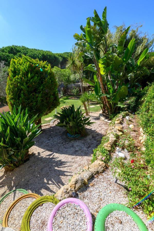 Quinta Do Vale - Natureza, Piscina E Praia! Carvoeira Εξωτερικό φωτογραφία